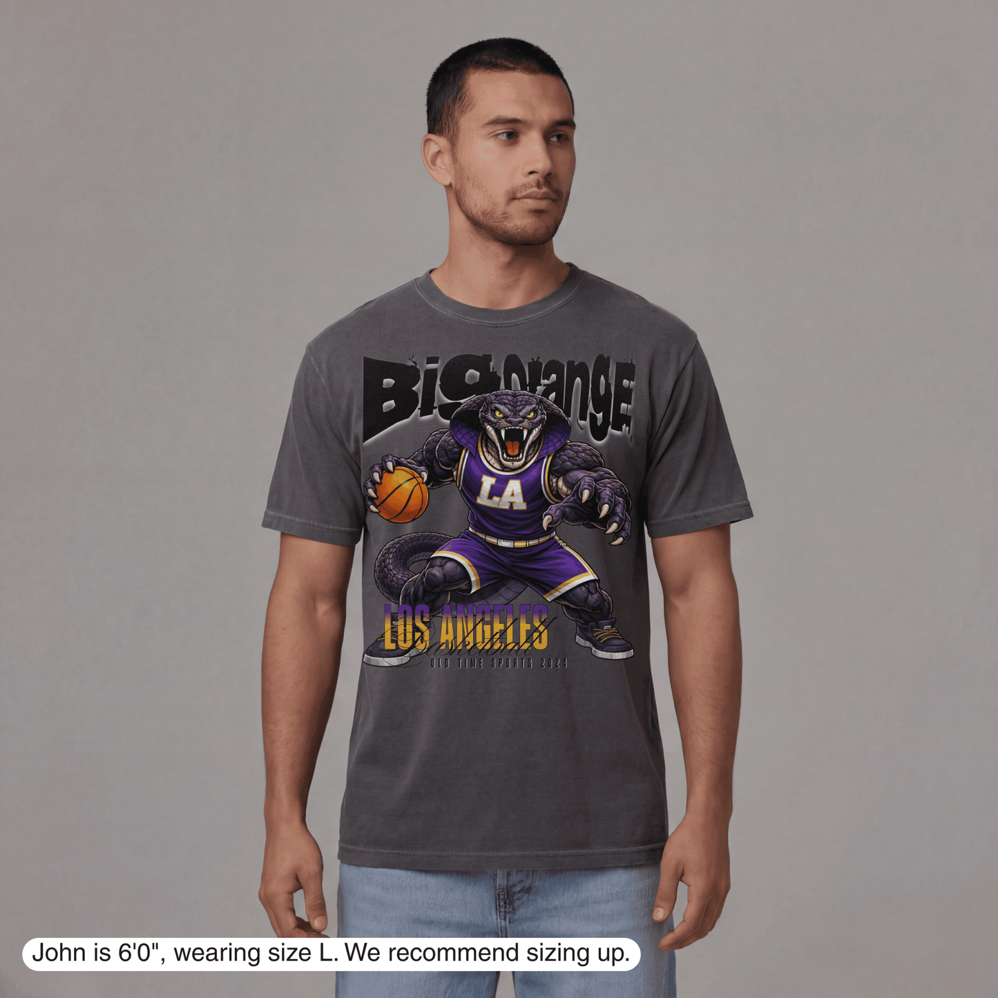 Man wearing a gray t-shirt with a panther graphic and 'Los Angeles' text on a gray background