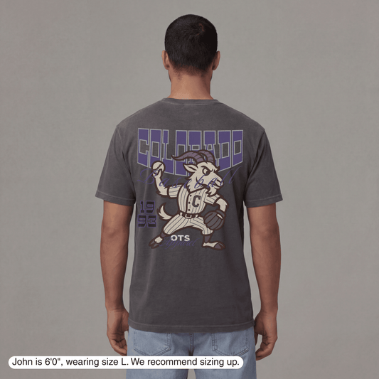 Colorado Since 1993 T-Shirt