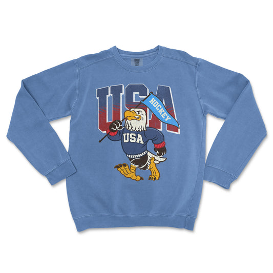 Blue sweatshirt with USA hockey design on a white background