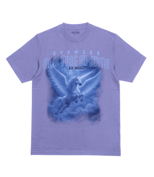 OTS Alicorn Gymwear v2