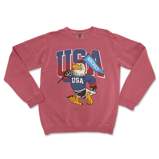 Red sweatshirt with USA hockey graphic on a white background