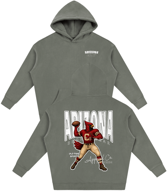 Arizona Sportswear Warmup Hoodie