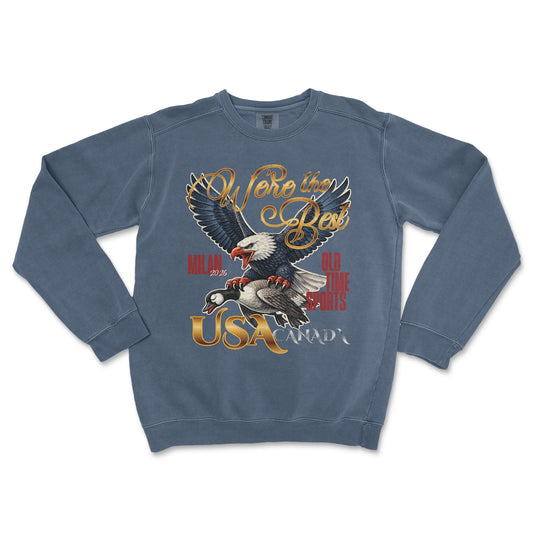 Blue sweatshirt with eagle and USA text design on a white background
