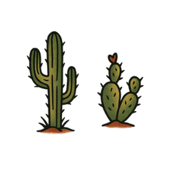 Arizona