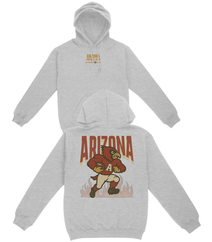 Arizona Football Club Basic Hoodie - Old Time Sports