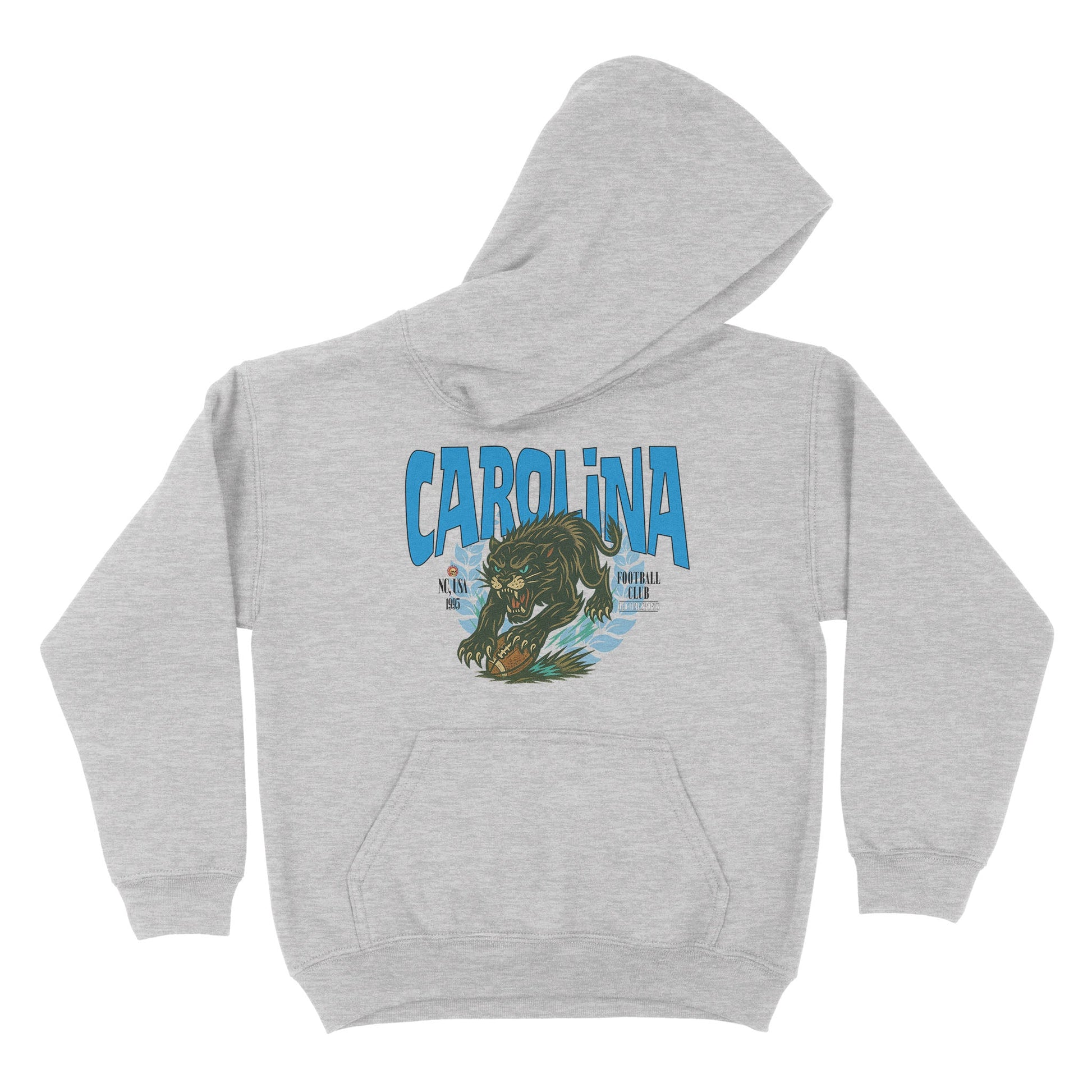 Carolina Football YOUTH Hoodie - Old Time Sports