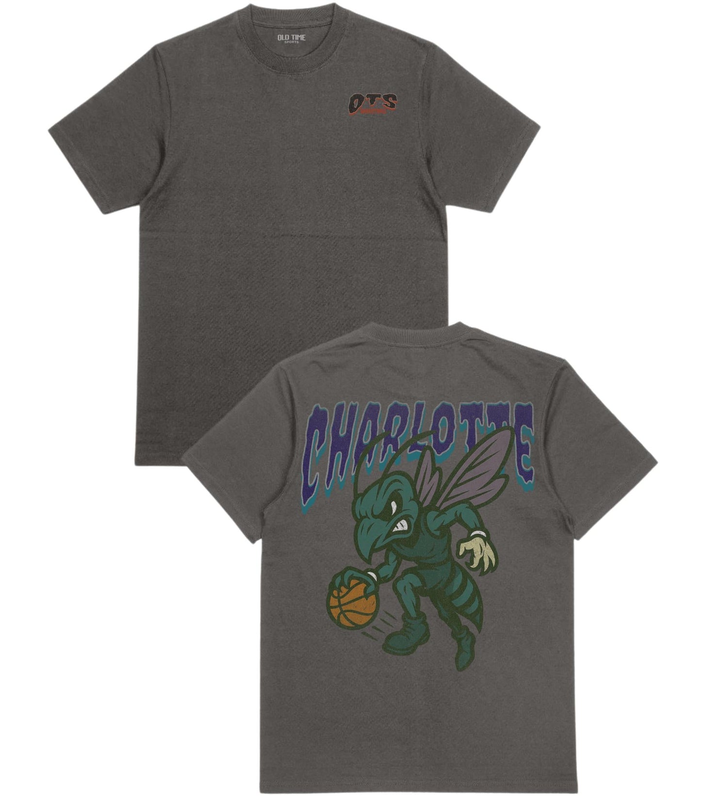 Charlotte Basketball T-Shirt