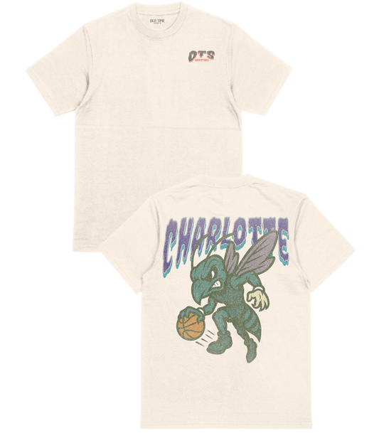 Charlotte Basketball T-Shirt - Old Time Sports