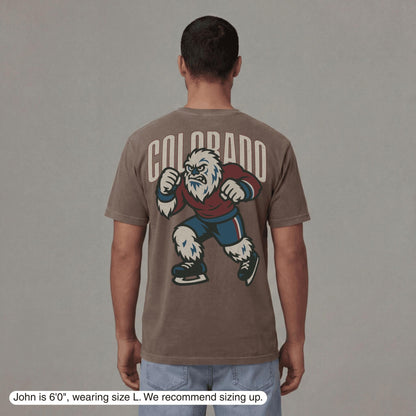 Colorado Hockey v1 T-Shirt