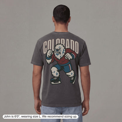 Colorado Hockey v1 T-Shirt