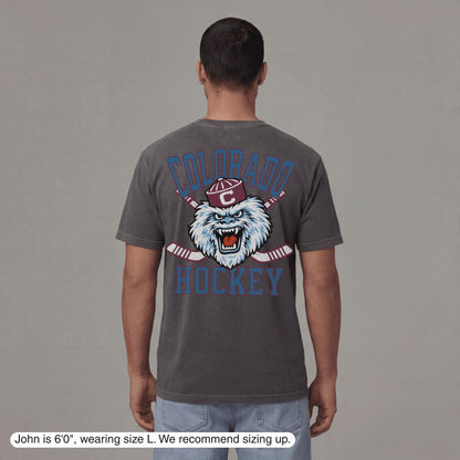 Colorado Playoffs '26 T-Shirt - Old Time Sports