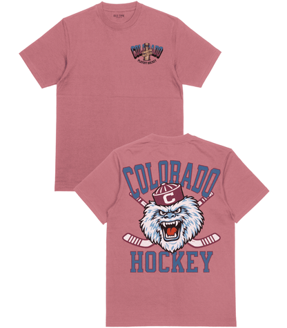Colorado Playoffs '26 T-Shirt - Old Time Sports
