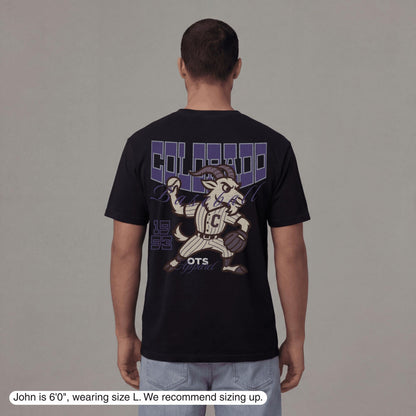 Colorado Since 1993 T-Shirt - Old Time Sports