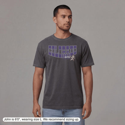 Colorado Since 1993 T-Shirt - Old Time Sports