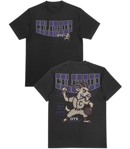 Colorado Since 1993 T-Shirt