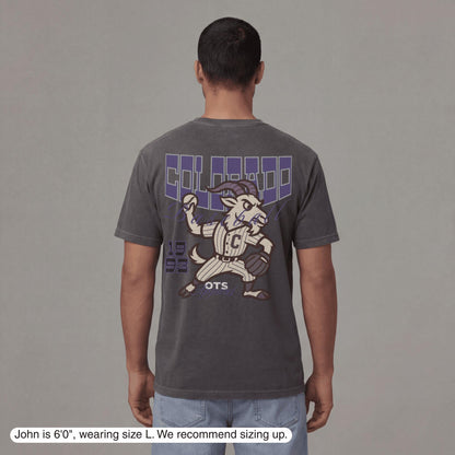 Colorado Since 1993 T-Shirt - Old Time Sports