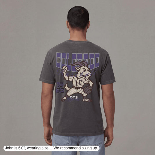 Colorado Since 1993 T-Shirt - Old Time Sports