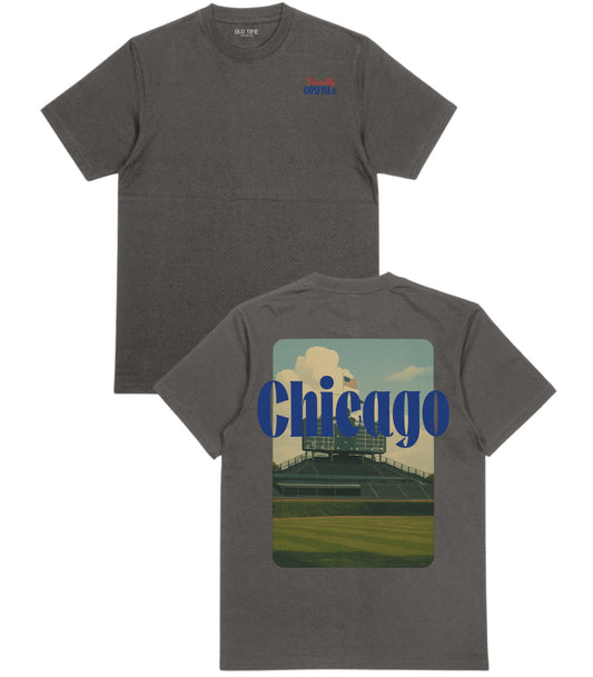 Friendly Confines T-Shirt