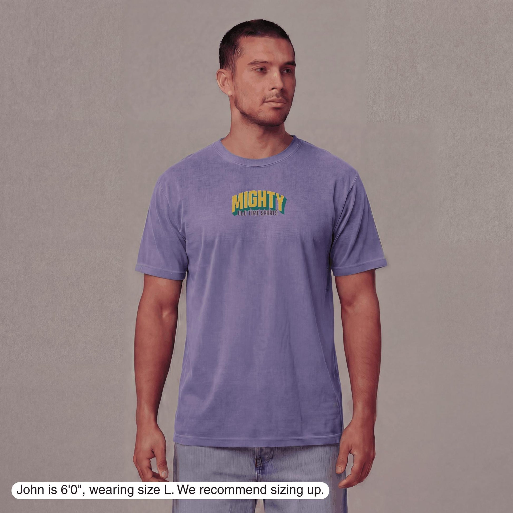 Mighty Anaheim Hockey v2 T-Shirt