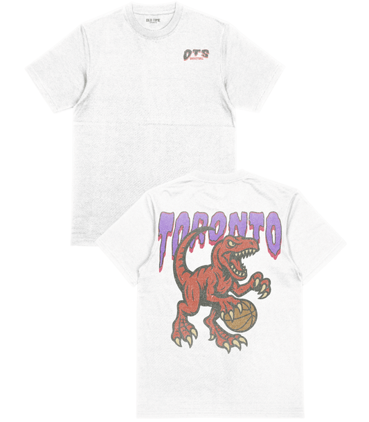 Toronto Basketball T-Shirt - Old Time Sports
