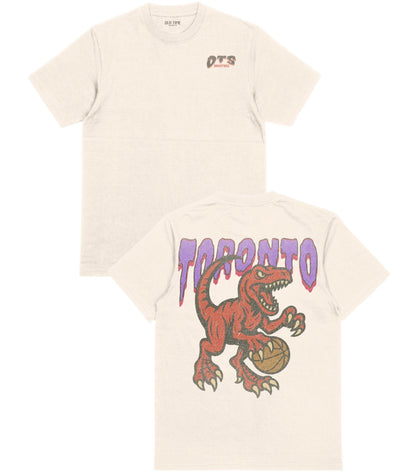 Toronto Basketball T-Shirt