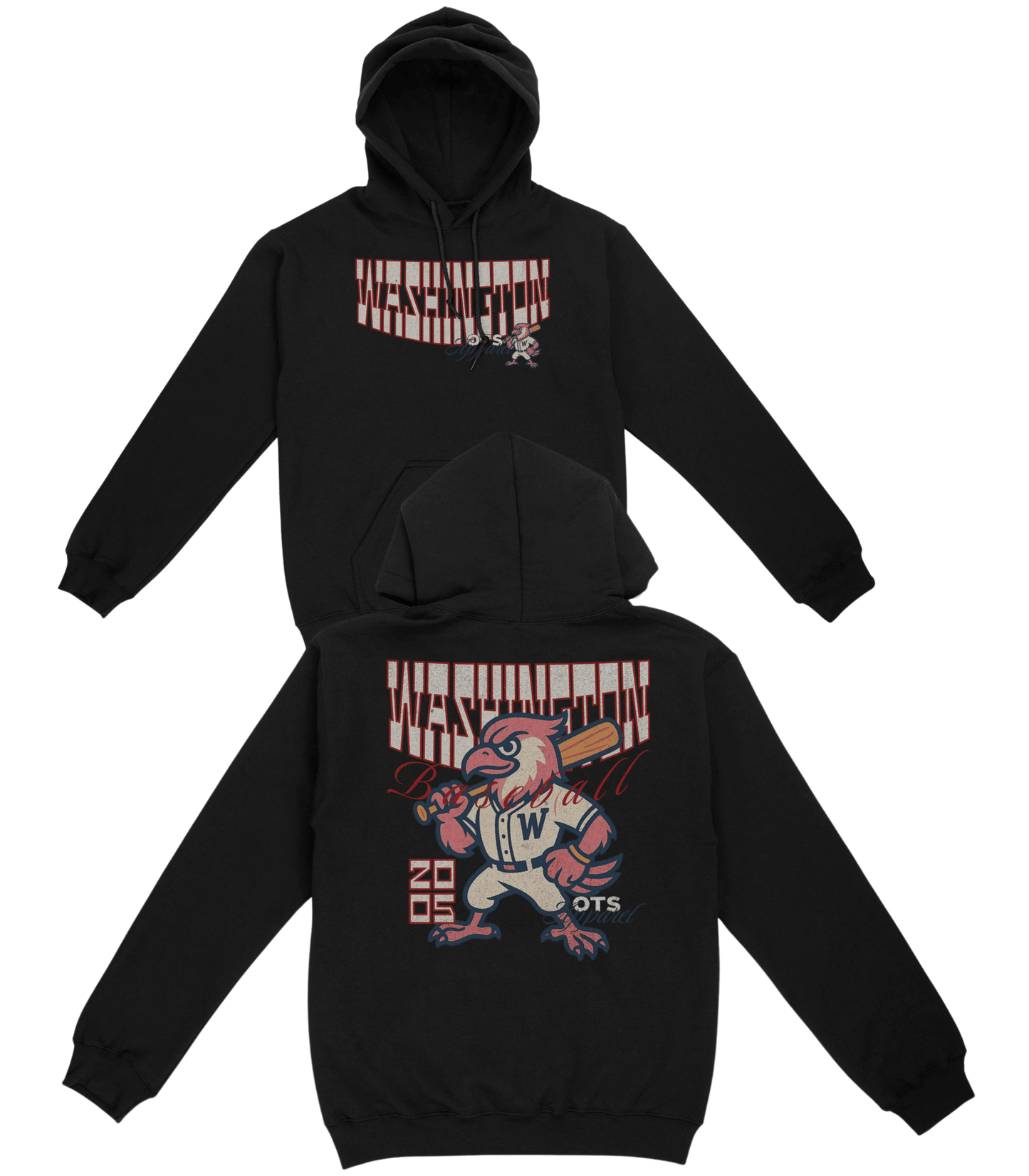 Washington Since 2005 Basic Hoodie - Old Time Sports